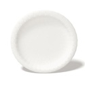 9" Carte Blanc Paper Plate